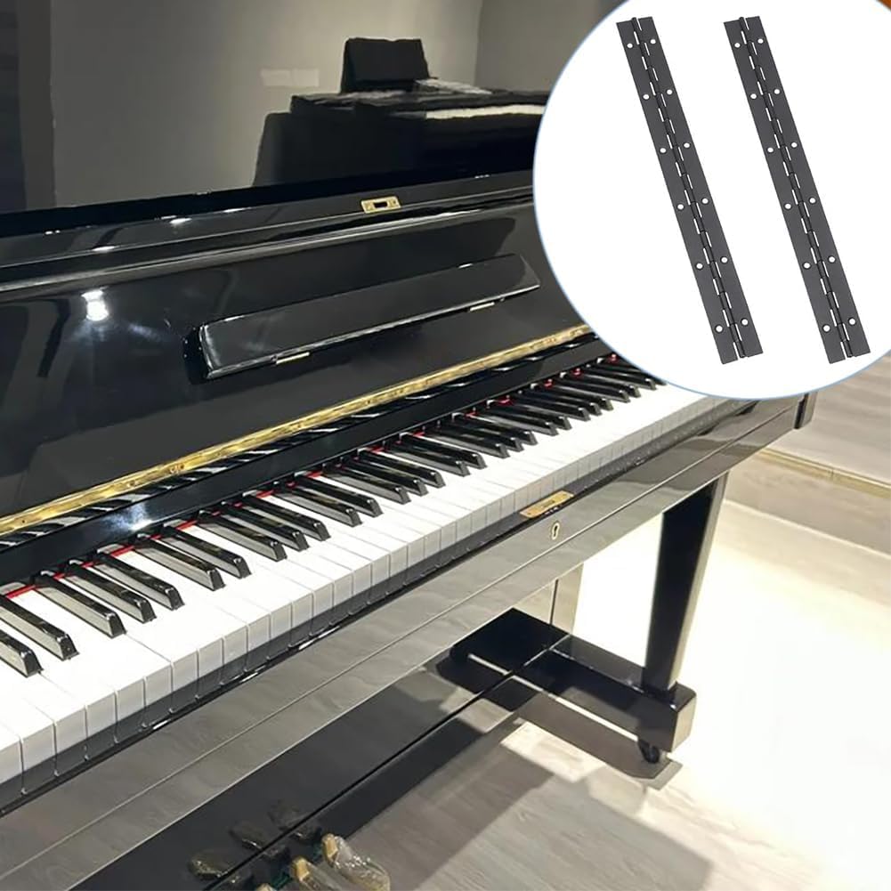 LOPYXBR Klavierscharniere Edelstahl - 6 Stück 30cm Mit Schrauben