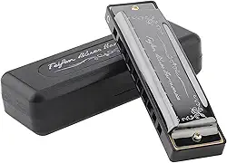 OriGlam Gaita 10 furos 20 melodias órgão boca harpa, blues gaita chave de C com estojo para blues folk jazz pop para iniciantes, presente para adultos