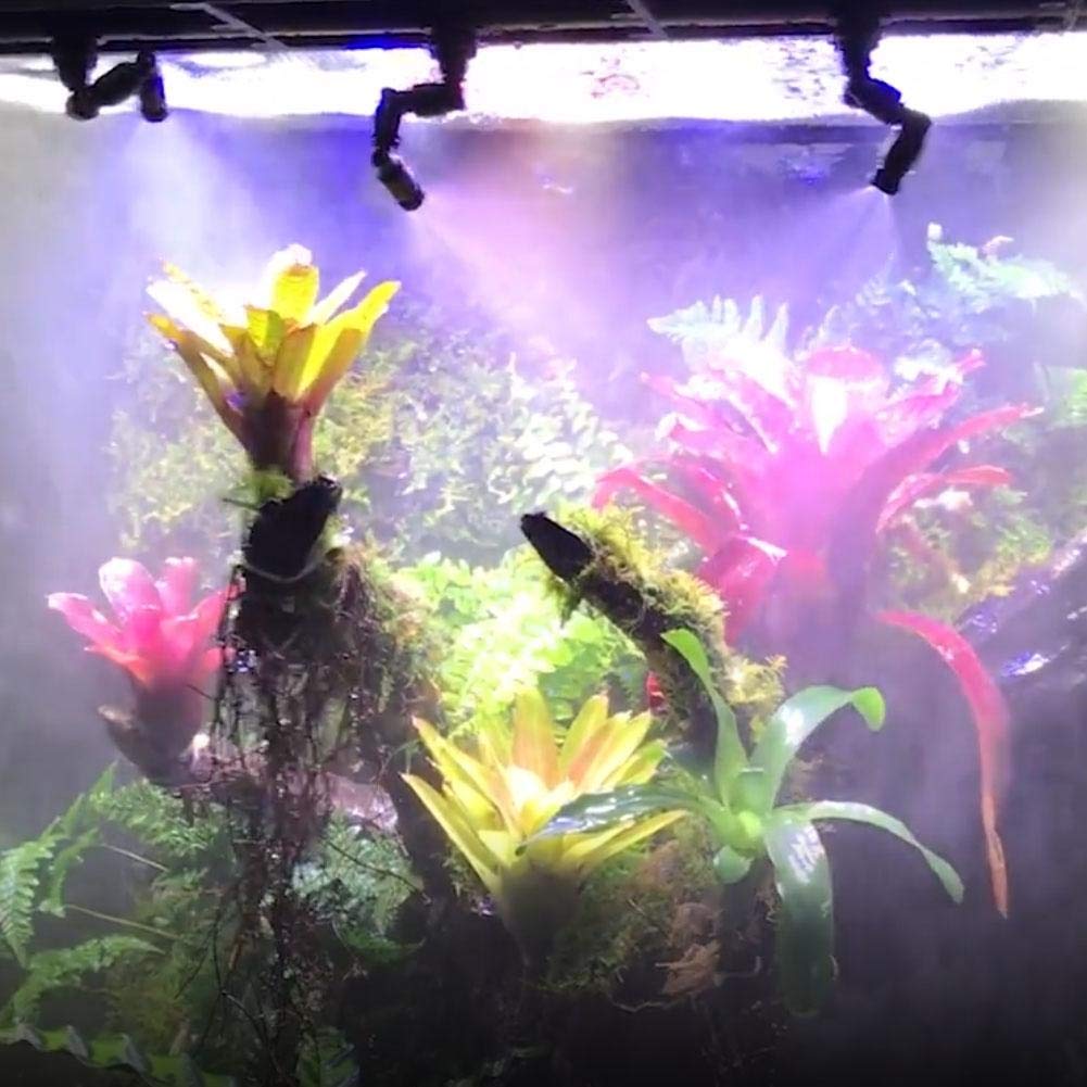 Bone Design Nebel Sprinkler, 360 verstellbare Düsen Reptile Nebel Sprinkler Aquarium System Connect 1/4 '' Tub Pet Kühlsystem für Rainforest Tank, schwarz