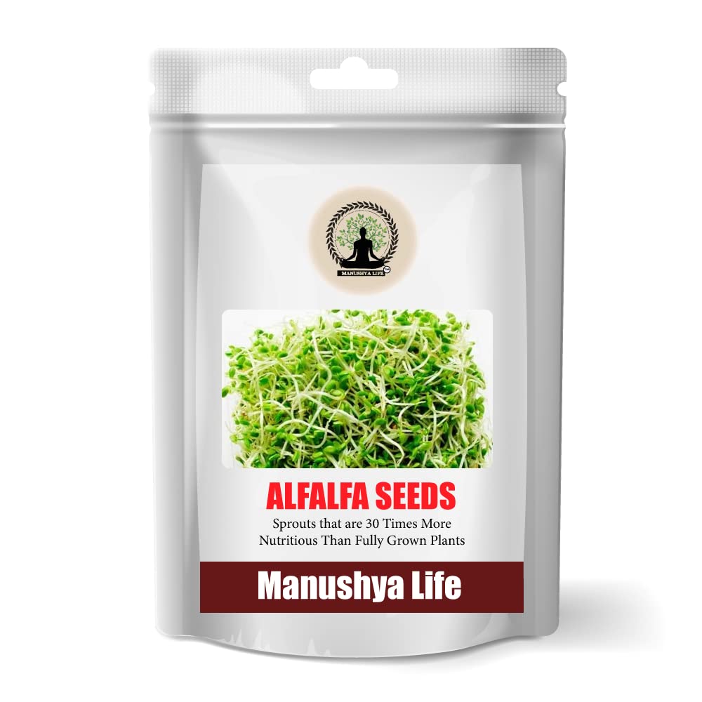 Manushya Life | Alfalfa Seeds for Sprouting | Satvic lifestyle | 100gms (B0B1M6HTFF) Amazon Price History, Amazon Price Tracker