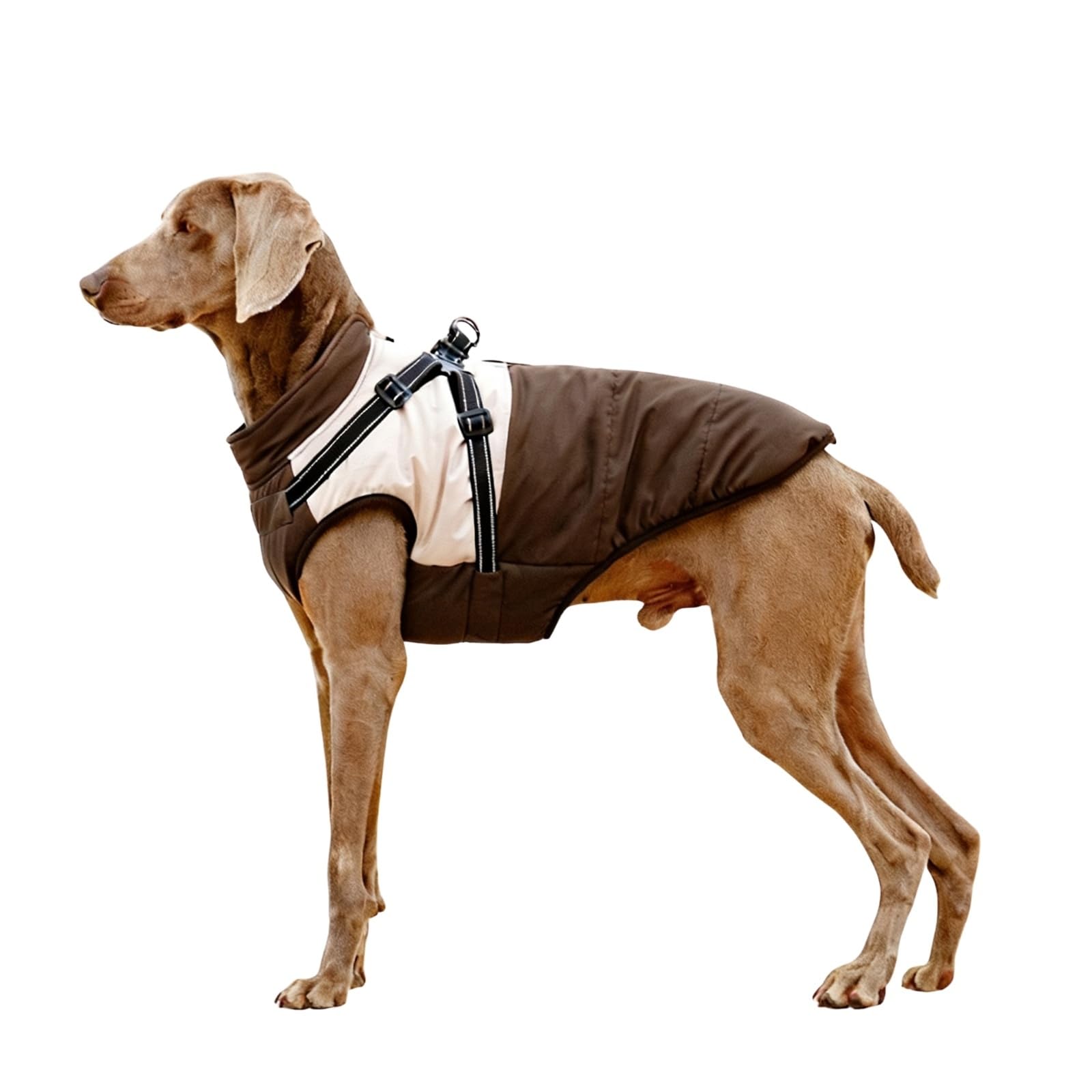 BT Bear Dog Winter Coat With Harness for Small Medium Large Dogs Winter Jacket Outdoor,Waterproof Adjustable Pet Warm Clothes,Brown_XL