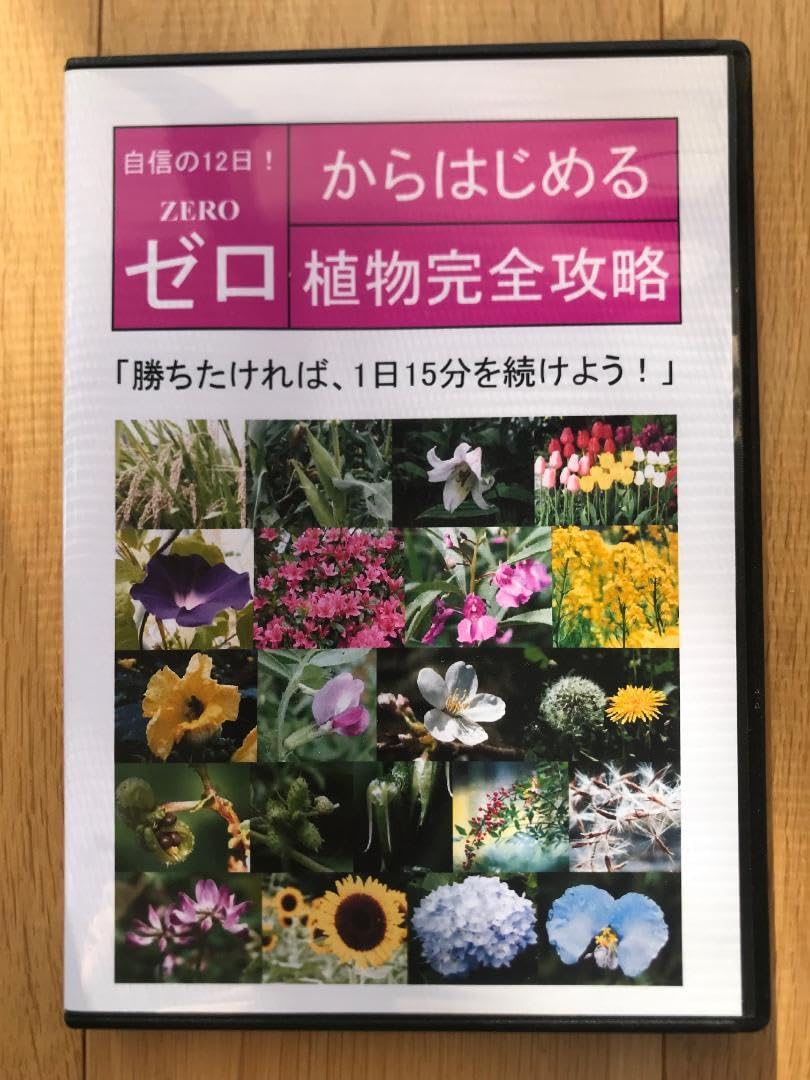 サントップ ゼロからはじめる 攻略 DVD テキスト フルセット 中学受験