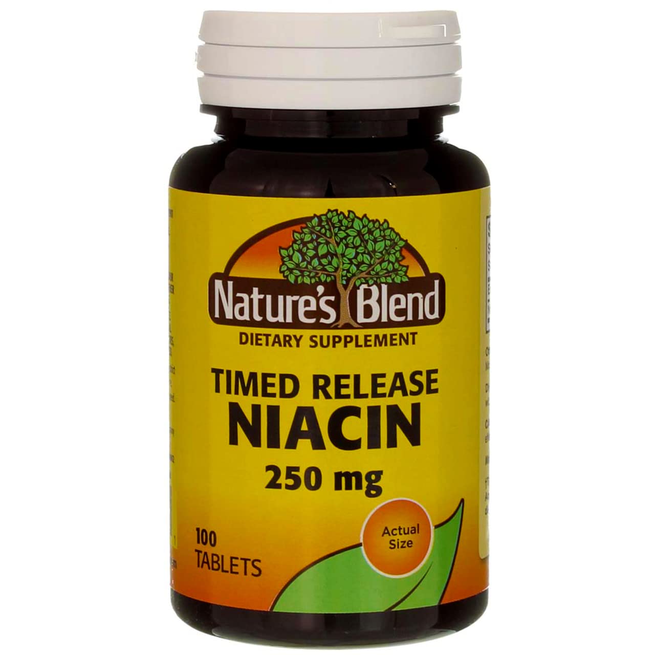 Nature's Blend Niacin Timed Release 250 mg 250 mg 100 Tabs Unflavored 100 Count (Pack of 1)