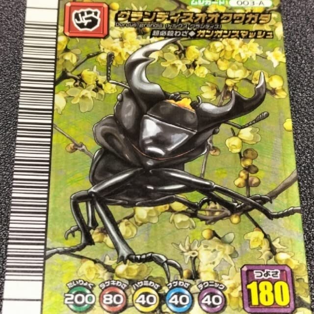 ムシキング　５周年　コガシラクワガタ　必殺技セット　117 ムシキング 5周年 コガシラクワガタ 必殺技セット 117 Amazon
