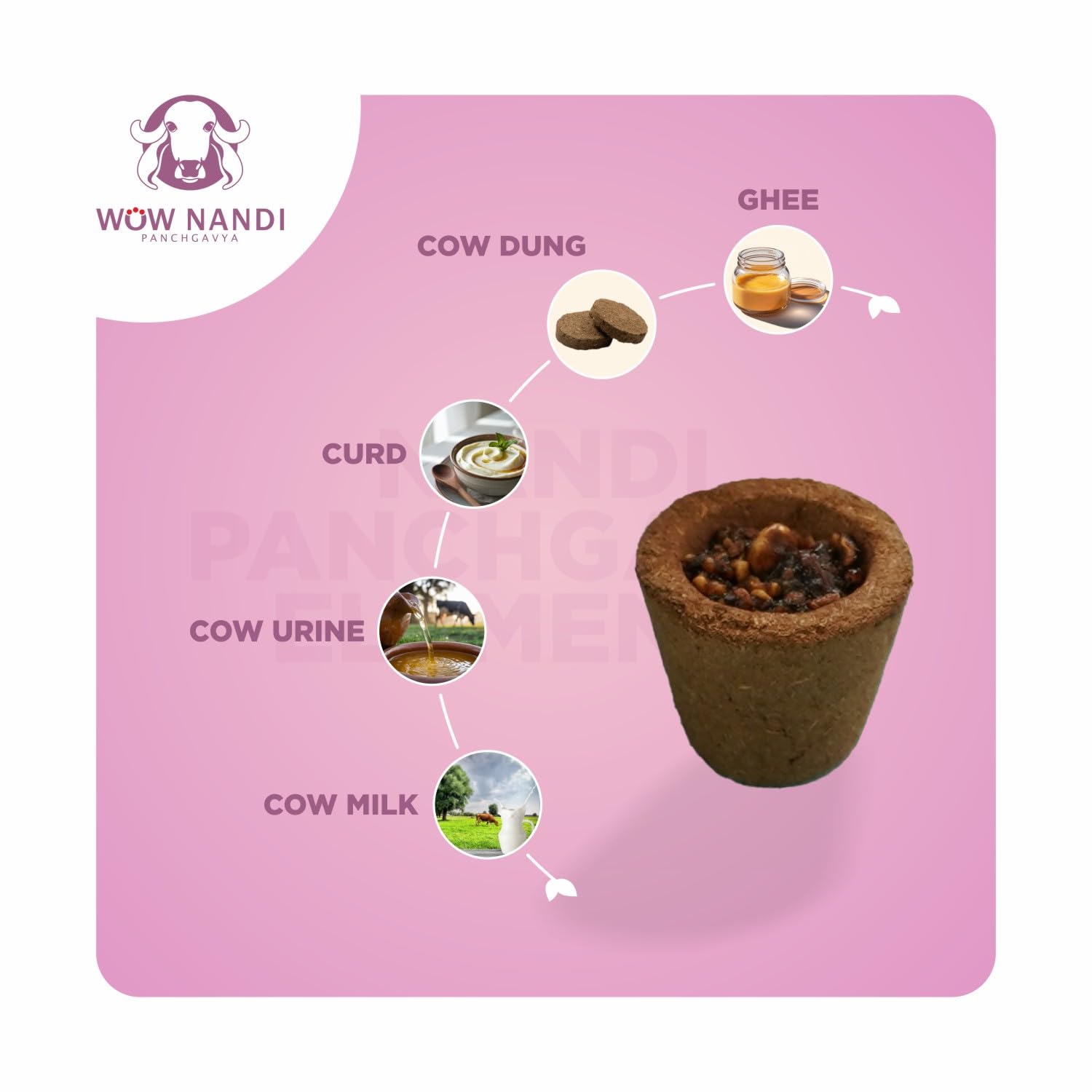 Nandi Panchgavya Organic 100% Cow Dung Dhoop Havan Cup (24 pcs) |Vedic  Purifier Sambrani Cups|Jasmine (Pack of 2) Incense Havan Cups-No Carbon  Emission|Dhoop Cups for Pooja & Havan with Stand : Buy