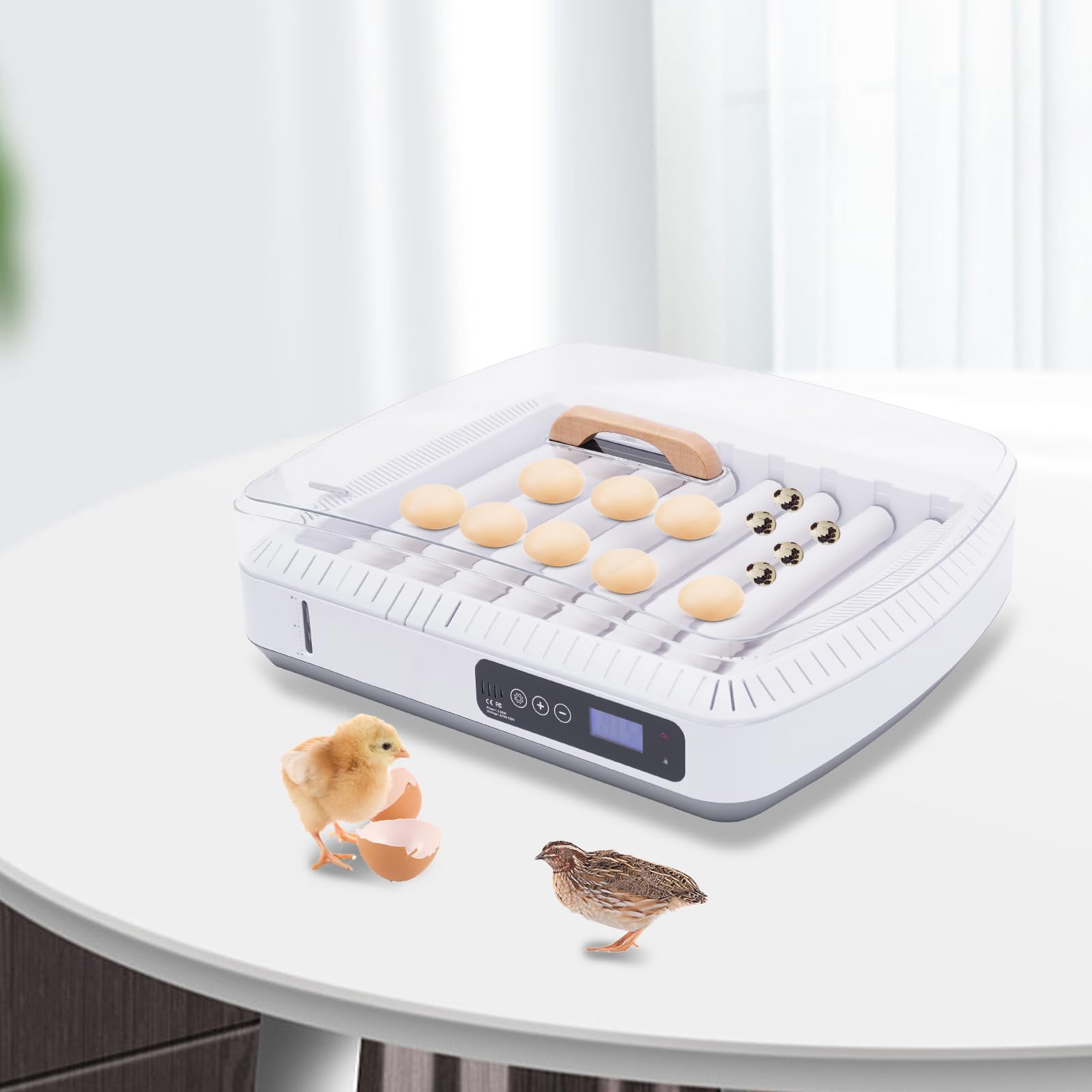Incubatrice automatica per uova – Incubatrice automatica per galline – Restituzione automatica 35 uova – Incubatrice automatica con controllo della temperatura