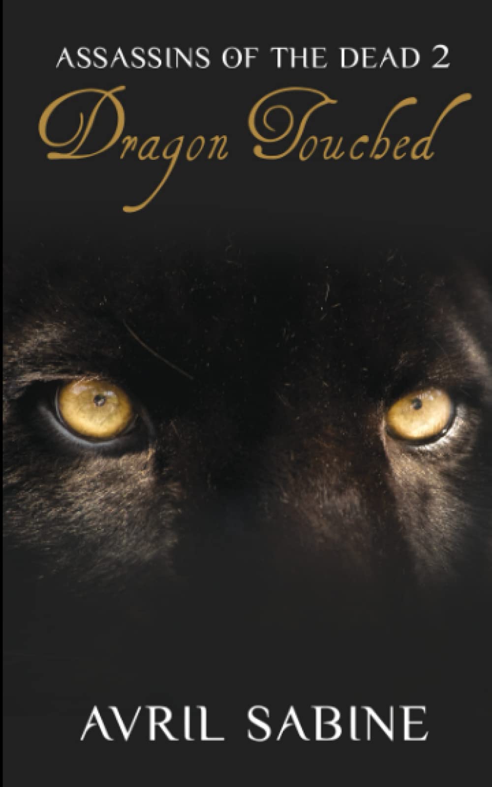 Buy Assassins Of The Dead 2: Dragon Touched — BookShops.in