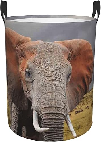 Elefante impreso cesta de lavandería con asa cesta de lavandería impermeable circular cesta organizador para cuarto de baño dormitorio dormitorio