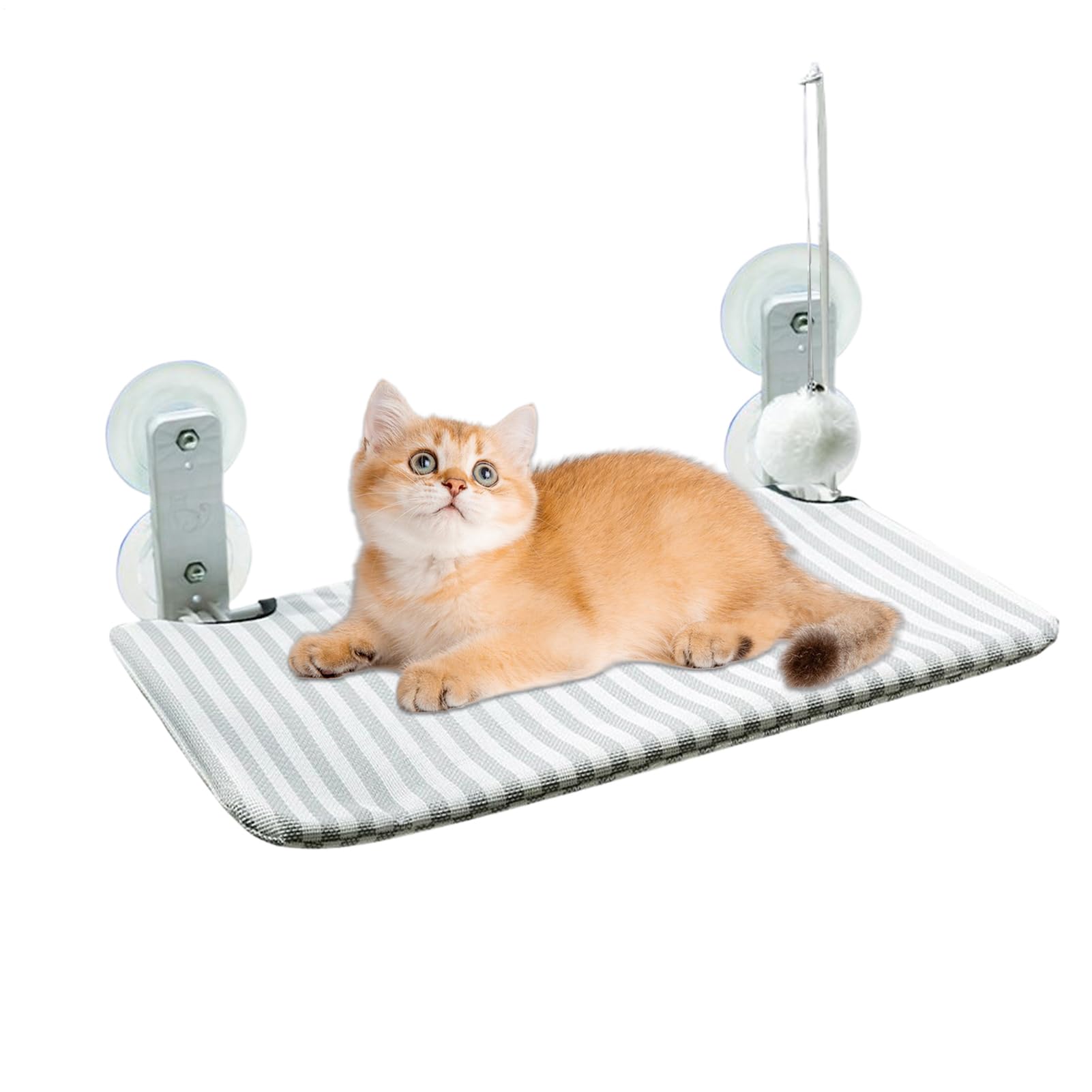 Amaca per Gatti da Finestra Amaca per Gatti con Ventose Resistenti | Cuscino Incorporato Senza Fili Per Lettino Cuccioli Camera Balcone Terrazzo Esterno