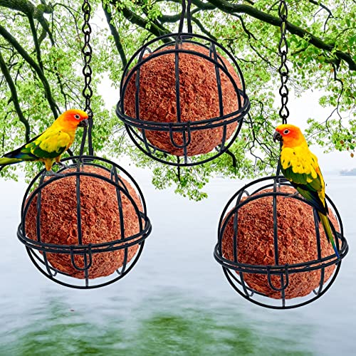 Ksvaye 4 Stück Maisenknödelhalterung Metall Meisenknödelhalter zum Aufhängen Meisenknödel Halterung Vogelfutterstation Meisenknödel-Halter für Garten Wildvögel Finken Spatzen Rotkehlchen (Schwarz)