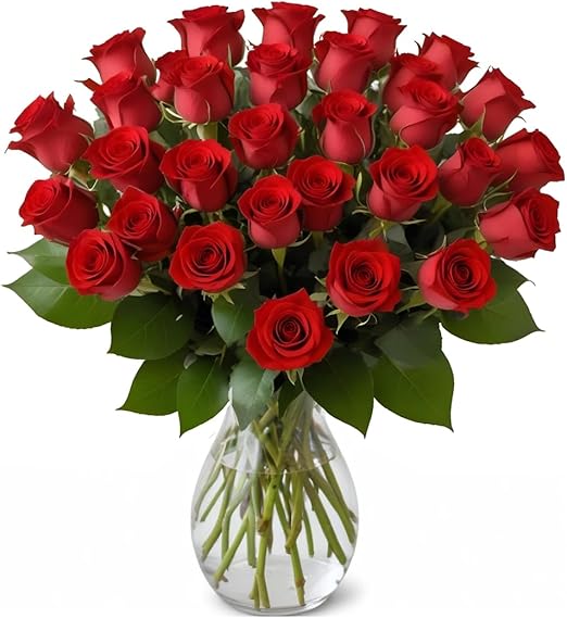 25 Red Roses in a vase | Arabella Bouquets | Real Fresh Flowers for Delivery, Gift for Birthday, Congratulations, Anniversary, Thank You, Mother's Day