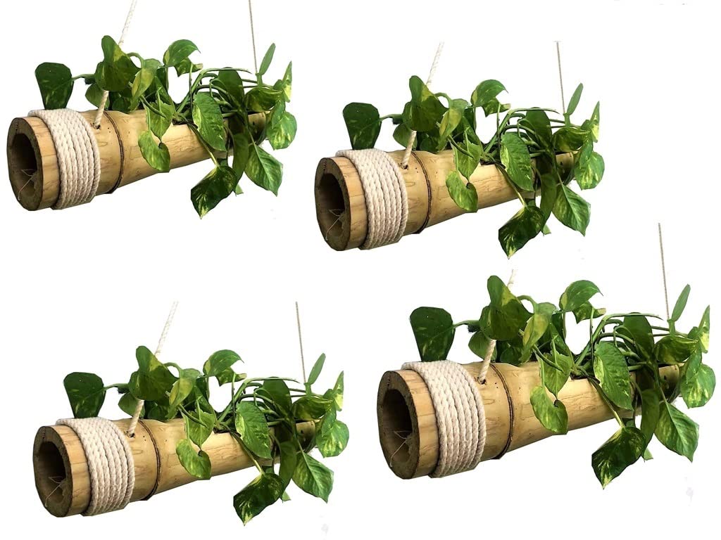 See full amazon price history chart for RARE OCEANS HANGING BAMBOO FLOWER POT PACK of 4 RARE OCEANS HANGING BAMBOO FLOWER POT PACK of 4 (B09BLZ7QN3) Amazon Price History, Amazon Price Tracker