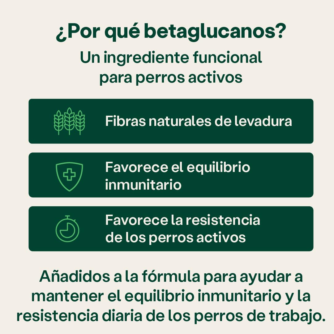 Yumove Condroprotector Perros Trabajo, 480 Comprimidos ActivEase Movilidad | Patente Pendiente, Mejillón Verde, Betaglucanos, Todas las Razas, Omega-3, Respaldo Científico, Recomendado por Veterinarios