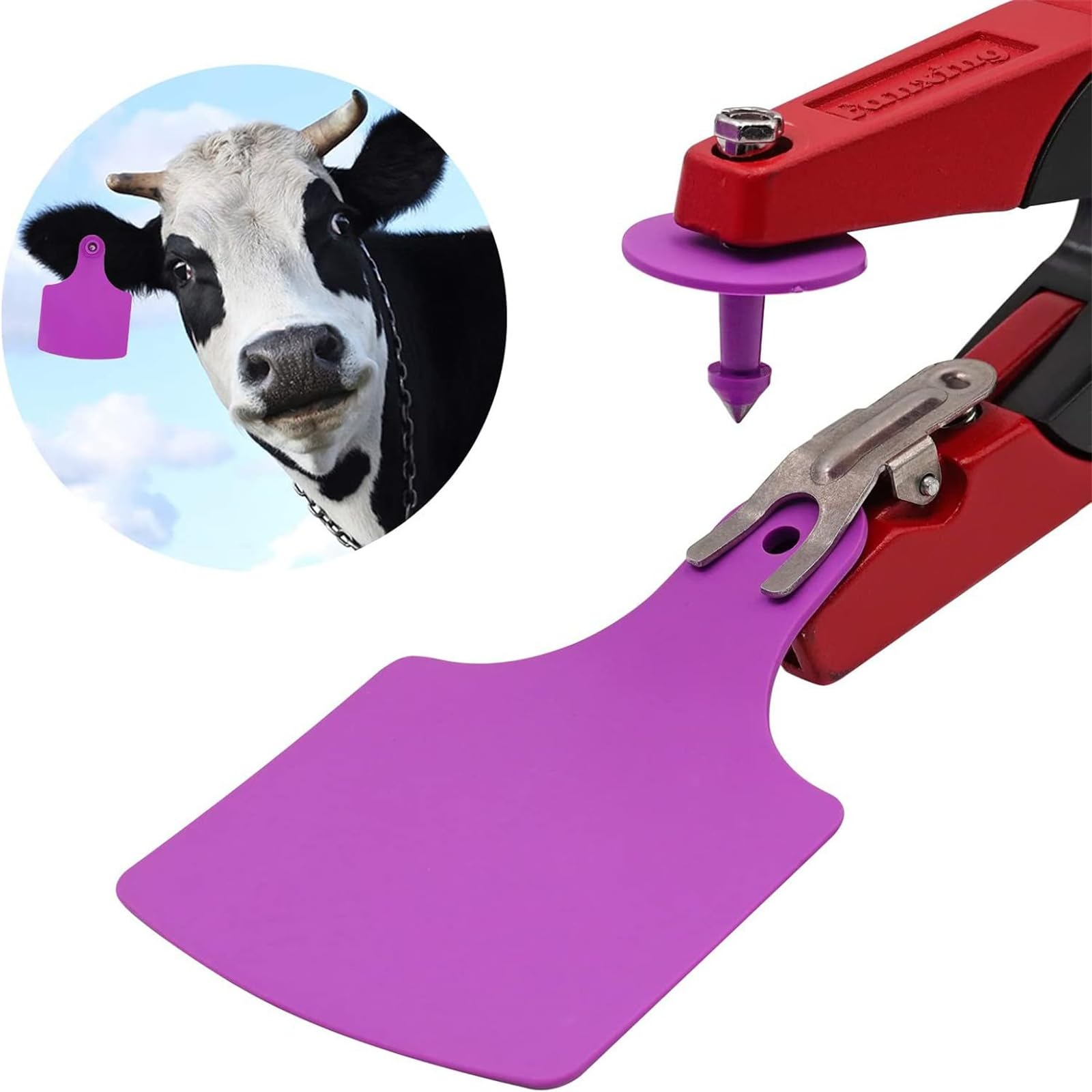 100 robuste etichette di bestiame per pecore, maiali e cavalli, realizzate con segni di orecchie di capra