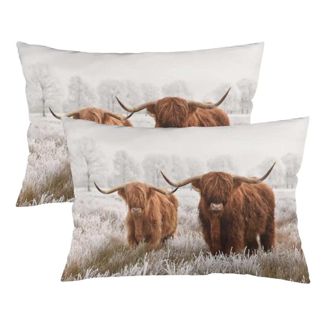 Yudilinsa Color 12 Highland Cow Throw Pillow Cover Queen Size Set Of 2 Western Cow Animal Wildlife Farm House Grassland Lumbar Pillow Case Decorative Standard Pillow Cases With Zipper Cushion Covers For Bed,Sofa,20"X30"