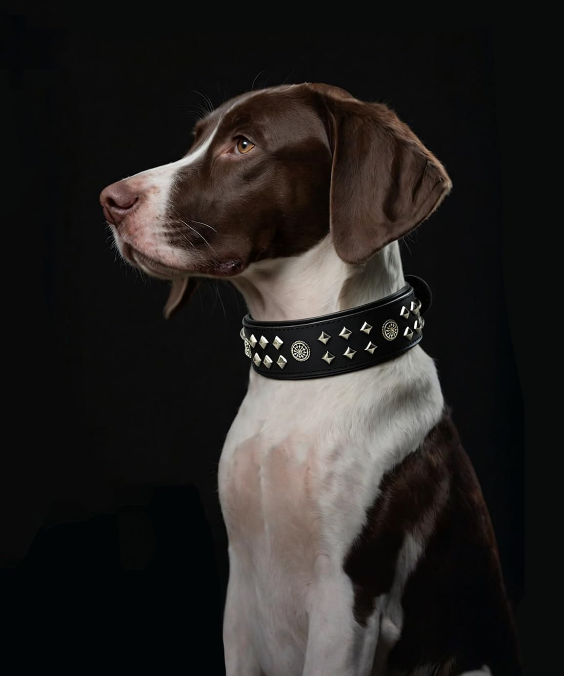 EliteGuard Collar de Perro de Cuero de 5,6 cm de ancho, hecho a mano con remaches y hebilla de acero inoxidable, para uso diario en perros grandes, color negro, 57,5-67,5 cm