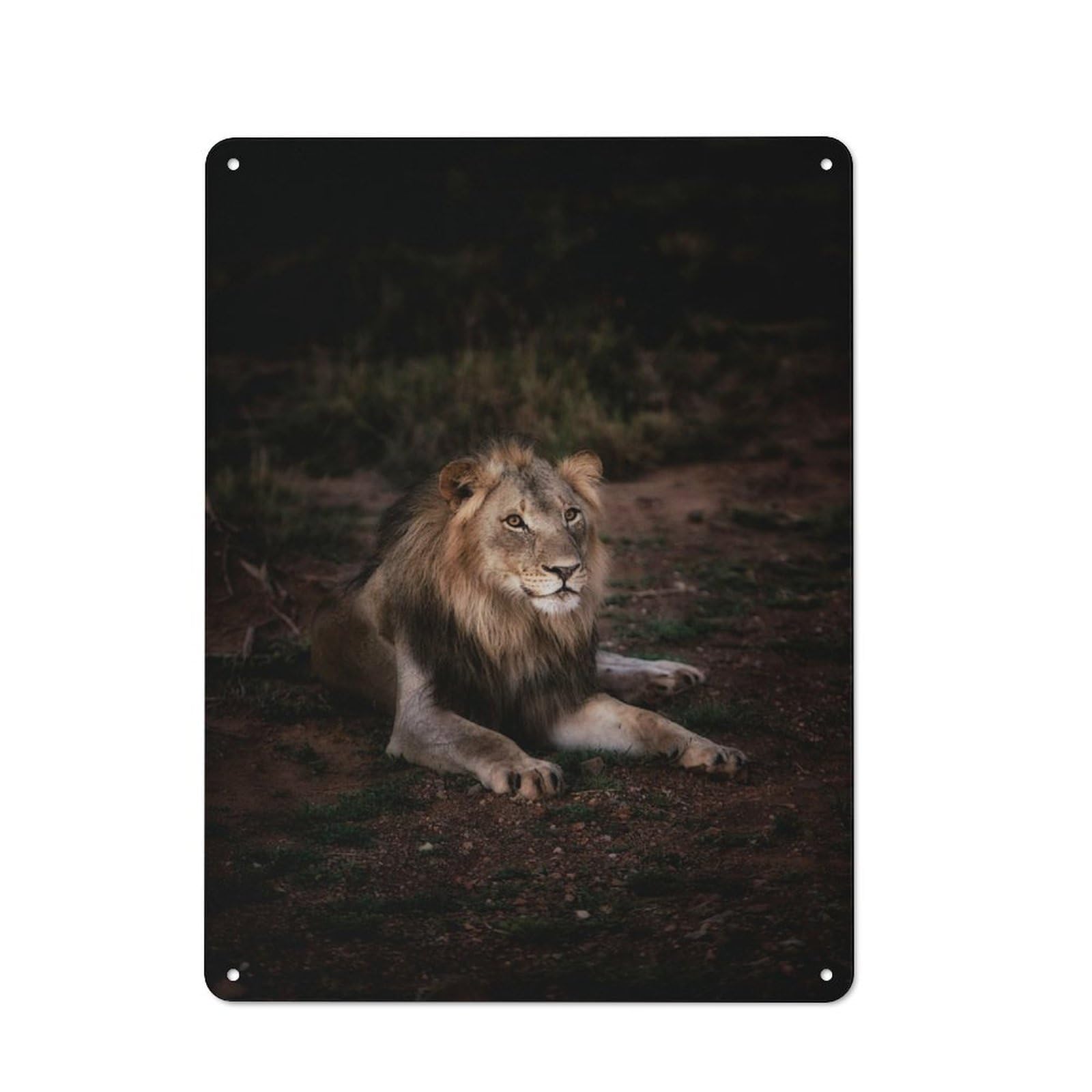 Majestic Lion in The Wild Retro Metal Wall Decor 40x30cm, Metal Sign for Pub, Home Bar, Shed Or Man Cave, for Relaxed Wall Styling