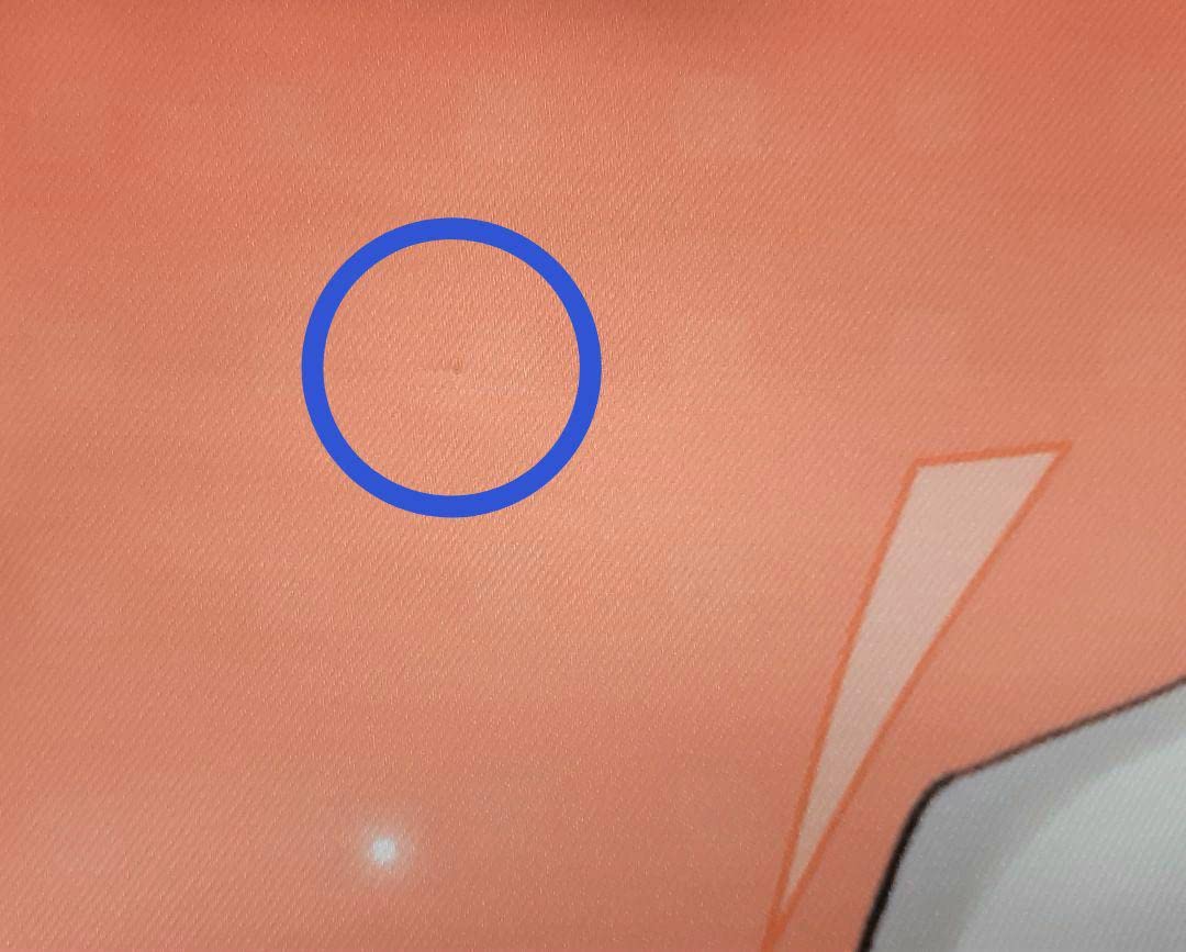 Amazon | カナメとハルキー タペストリー 2枚 ハルキー | アイドル