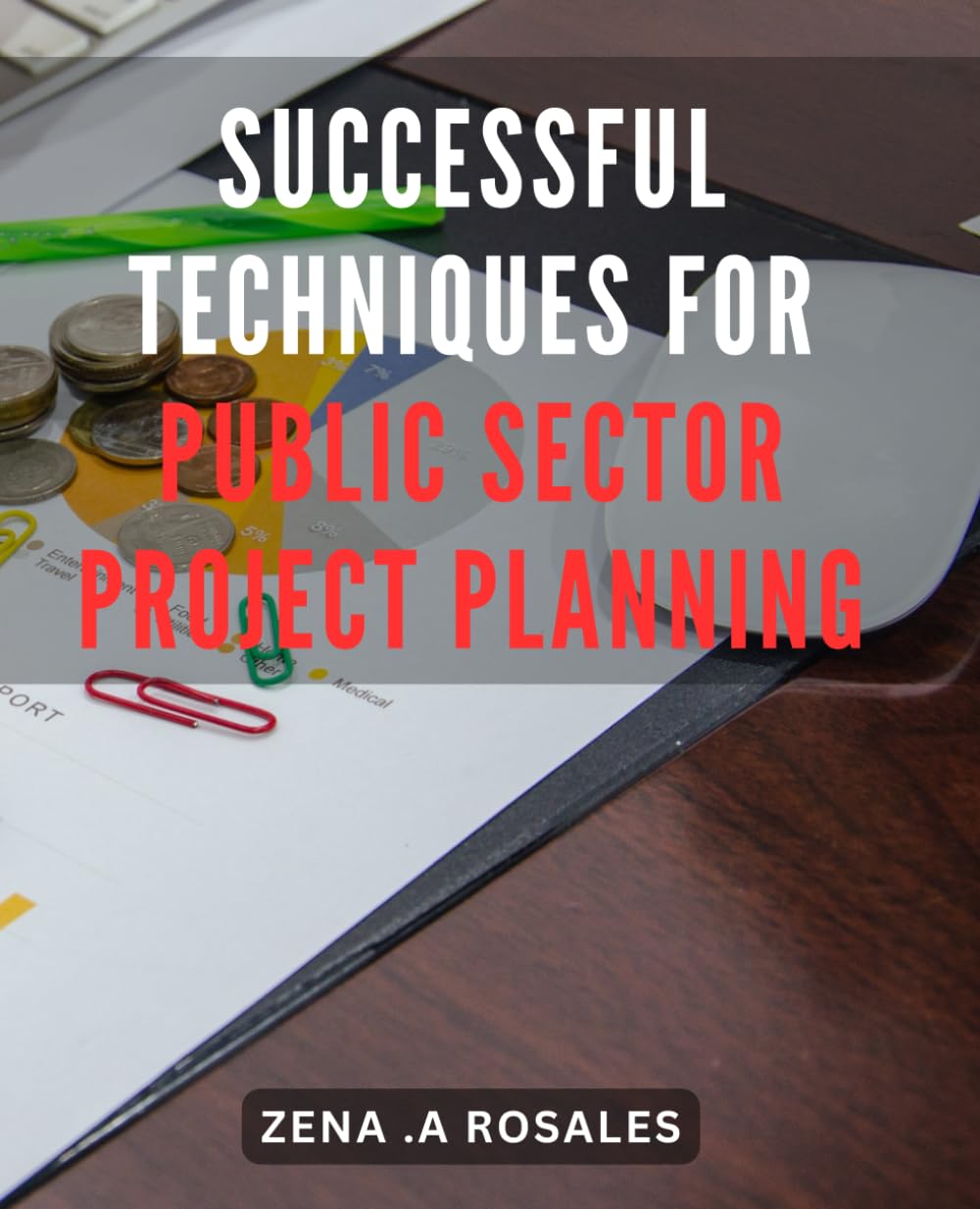 Successful Techniques for Public Sector Project Planning: Proven Strategies for Effective Project Planning in the Public Sector: Achieve Success with Expert Tactics