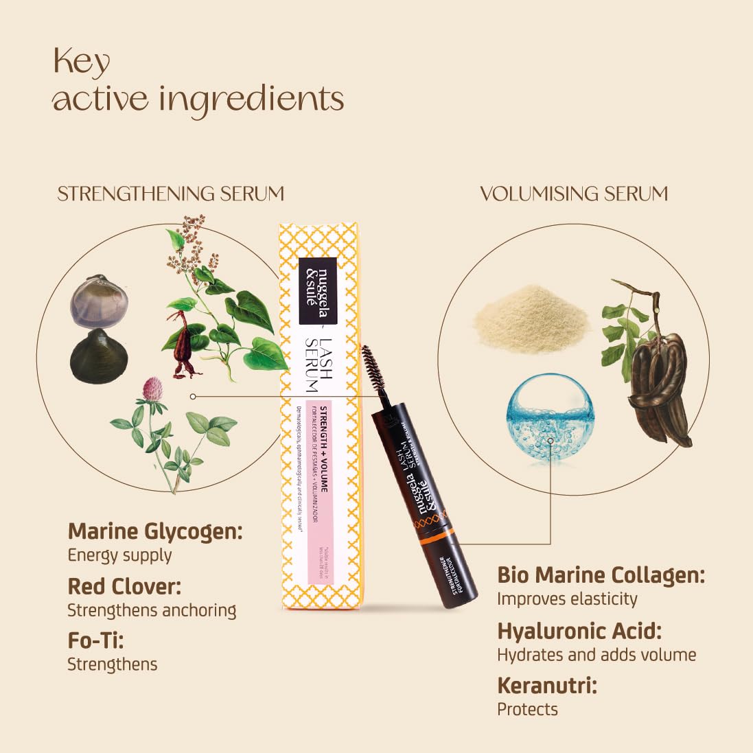 Nuggela & Sulé Lash Serum. Wimpernserum mit Doppelwirkung: Kräftigend und Volumenspendend. Mit Fo-Ti-Extrakt. Durch klinische Studie belegt. 5 ml + 5 ml