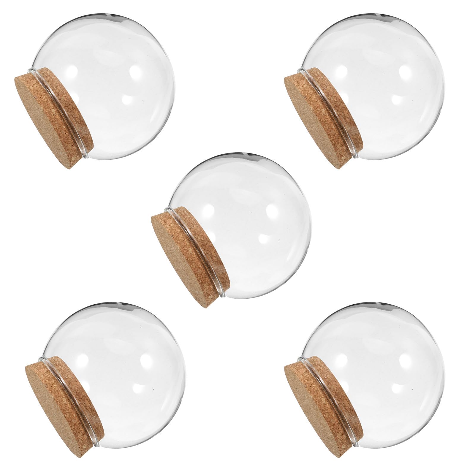 Cúpula de vidrio Totority con base de corcho para flores preservadas en set de 5 piezas de fondo plano