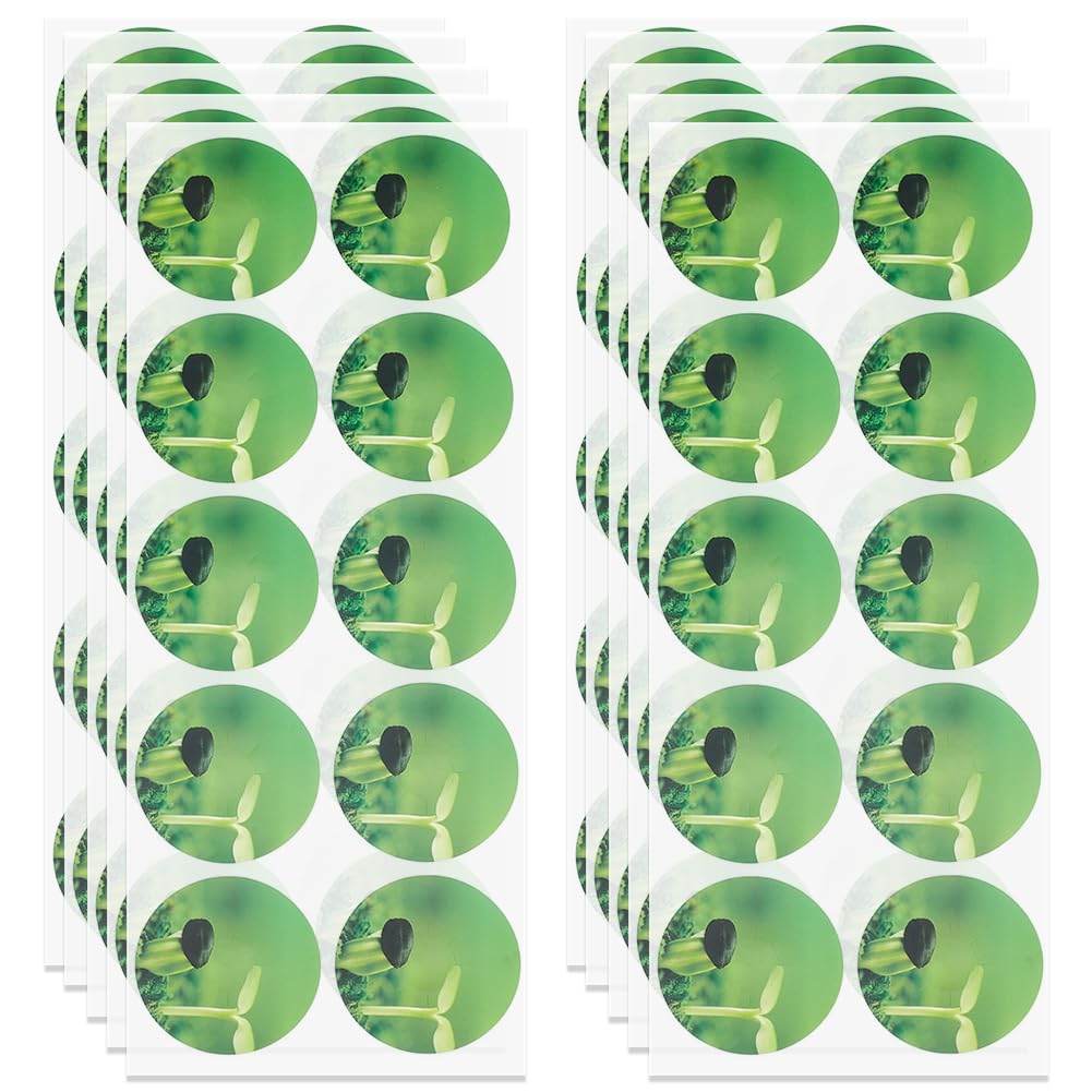 GORGECRAFT 100Pcs Seed Pot Labels Green Self Adhesive Round Peel and Stick Grow Baskets Hydroponic Growing System Plant Paper Label Sticker for Seedlings Mark Plants Understand Growth