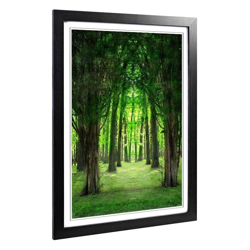 Big Box Art Framed Print of Green Forest Woodland Trees Landscape Design | Wall Art Picture | Home Decor for Kitchen, Living Room, Bedroom, Hallway, Black, A2 / 24.5x18 Inch / 62x45cm