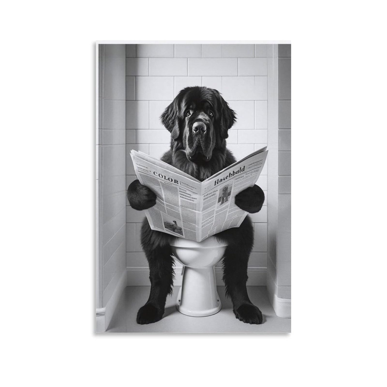 GQVCJSW Newfoundland Dog, Funny Bathroom Decor Canvas Poster Wall Art Decor Print Picture Paintings for Living Room Bedroom Decoration 12x18inch(30x45cm)