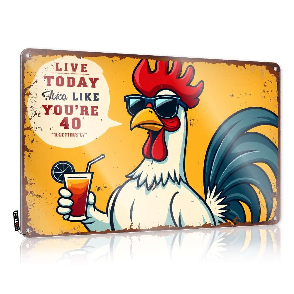 Fzfn Men's Colour Retro Tin Metal Decor Rustic Ideas | Live Today Like You're 40. Inappropriate Metal Wall Decor For Kitchen Bar Home(30X40cm)