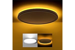 Matane 12 Inch dimmable LED Light Fixture