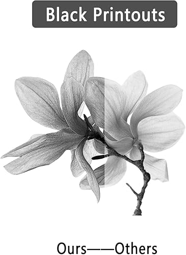 Miniatura 4 de Paquete de 1 cartucho de tóner negro 05A | CE505A de repuesto para HP 05A (CE505A) Laserjet P2035 P2035n P2055 P2055d P2055dn P2055x cartucho de