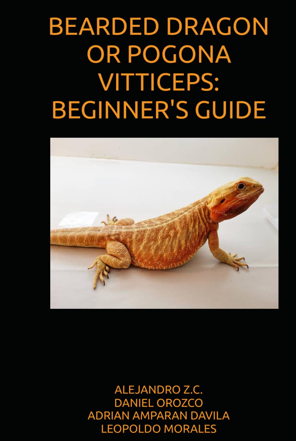 BEARDED DRAGON OR POGONA VITTICEPS: BEGINNER'S GUIDE