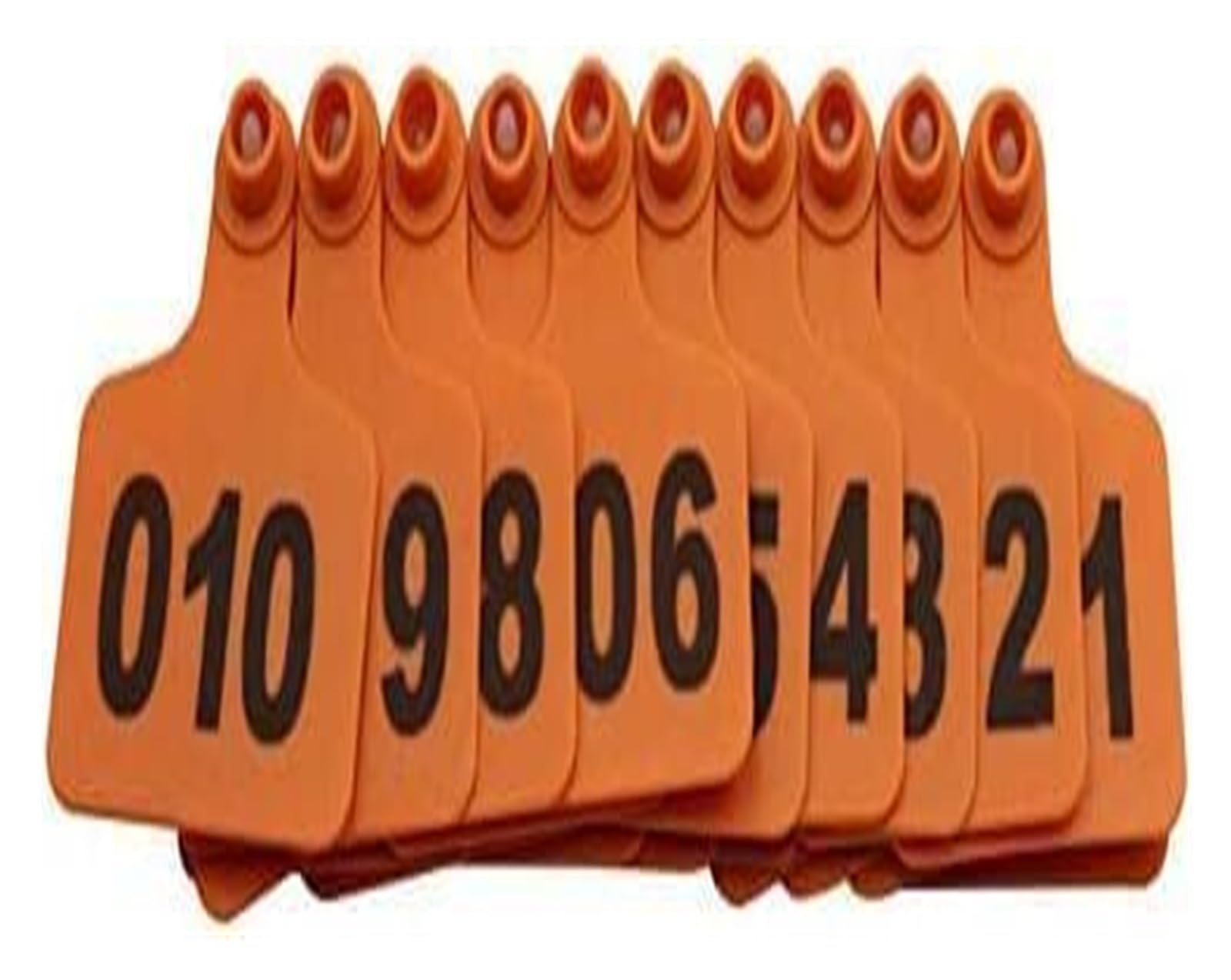 Plastikowa karta numerowa, oznaczenia zwierząt Kolczyki 100 sztuk Kolczyki identyfikacyjne dla zwierząt gospodarskich Kolczyki dla zwierząt gospodarskich dla bydła, świń, kóz, owiec, krów(Orange,401-5