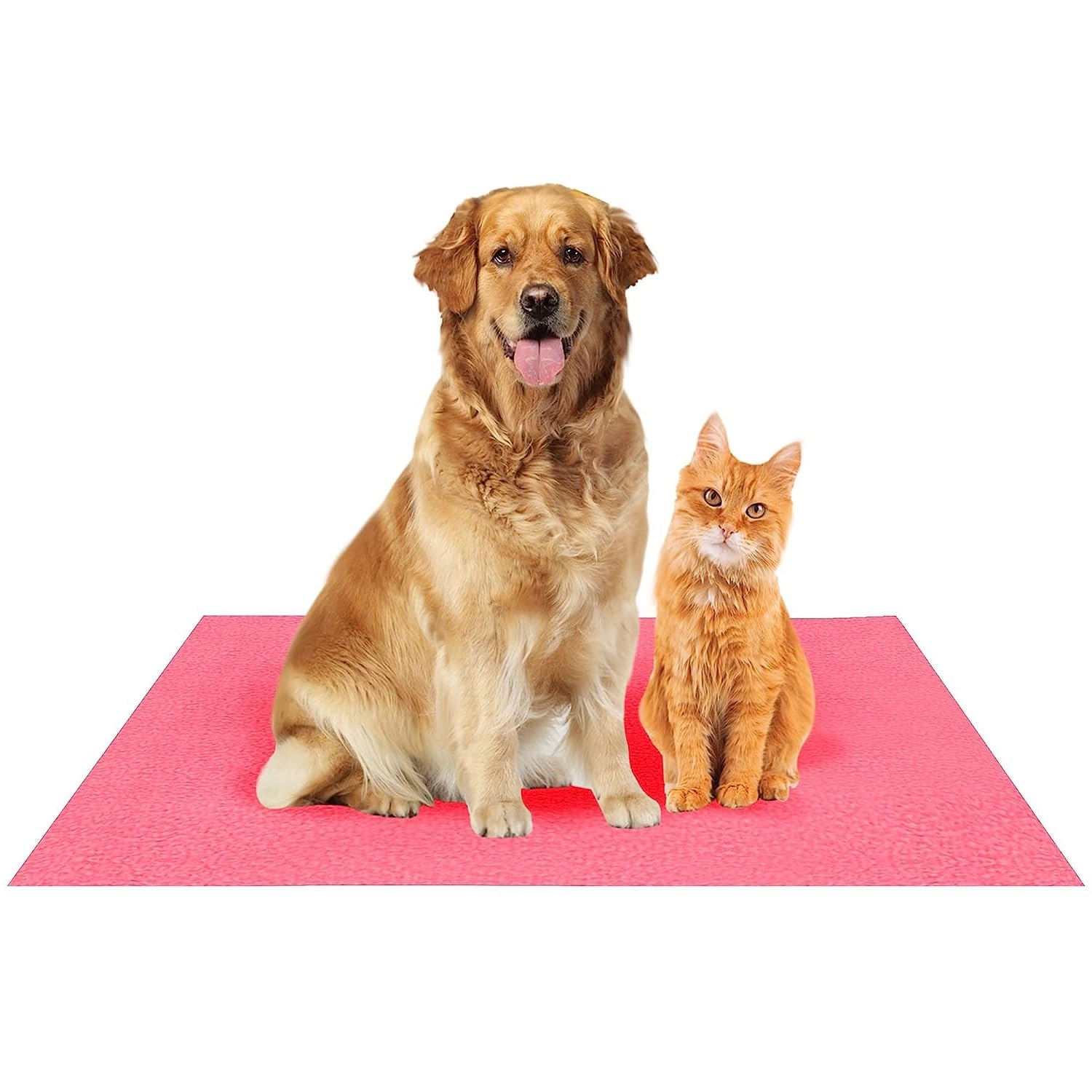 See full amazon price history chart for Fancy Dress Factory Waterproof Reusable Washable Pee Pads for Dogs | High Absorption Puppy Training Pads(100cm X 140cm) Violet Fancy Dress Factory Waterproof Reusable Washable Pee Pads for Dogs | High Absorption Puppy Training Pads(100cm X 140cm) Violet (B0CCRK8YF7) Amazon Price History, Amazon Price Tracker