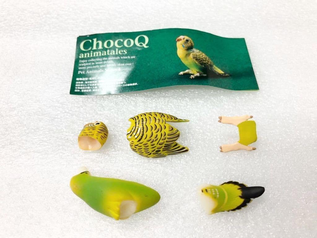 チョコＱ　日本のペット動物　4弾　全３１種 チョコQペット動物4
