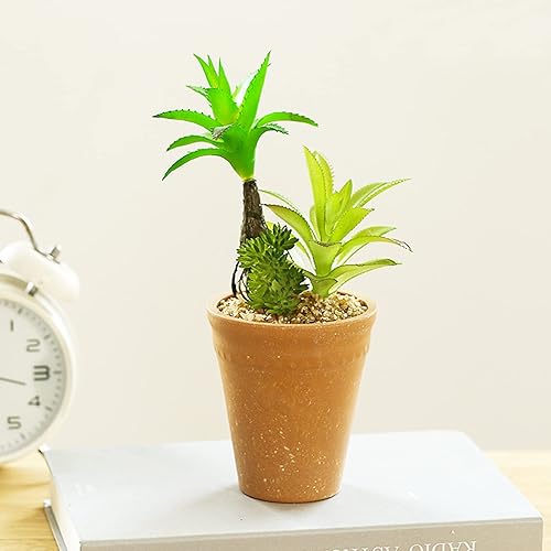 Ziosxin Plantas suculentas artificiales para suculentas, centro de mesa, corona, arreglo floral, para interiores y exteriores, decoración del hogar