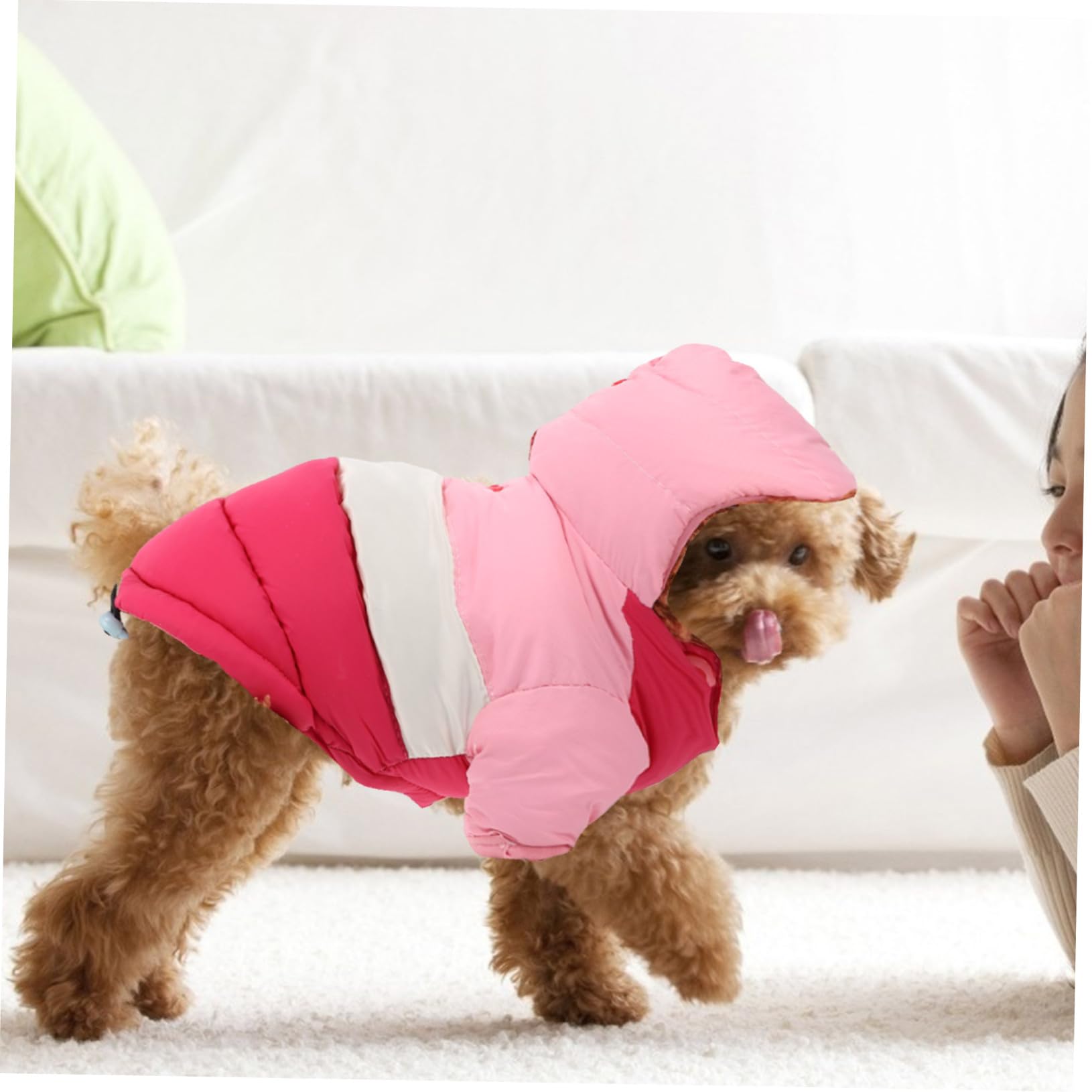 Manteau et Confortable Coton Chaud, D’Hiver pour Chien