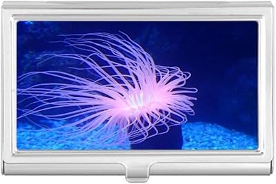 Ocean Blue Jellyfish Science Nature Business Card Holder Case Pocket Box Wallet
