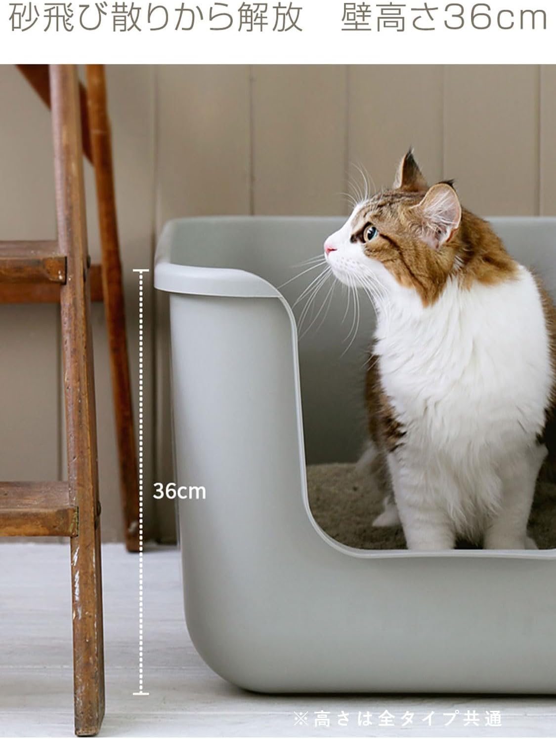 天然石　高品質　パイライト　ぷっくりハート　キューブジオード台座付No.1247 天然石 高品質 パイライト ぷっくりハート キューブジオード台座付No