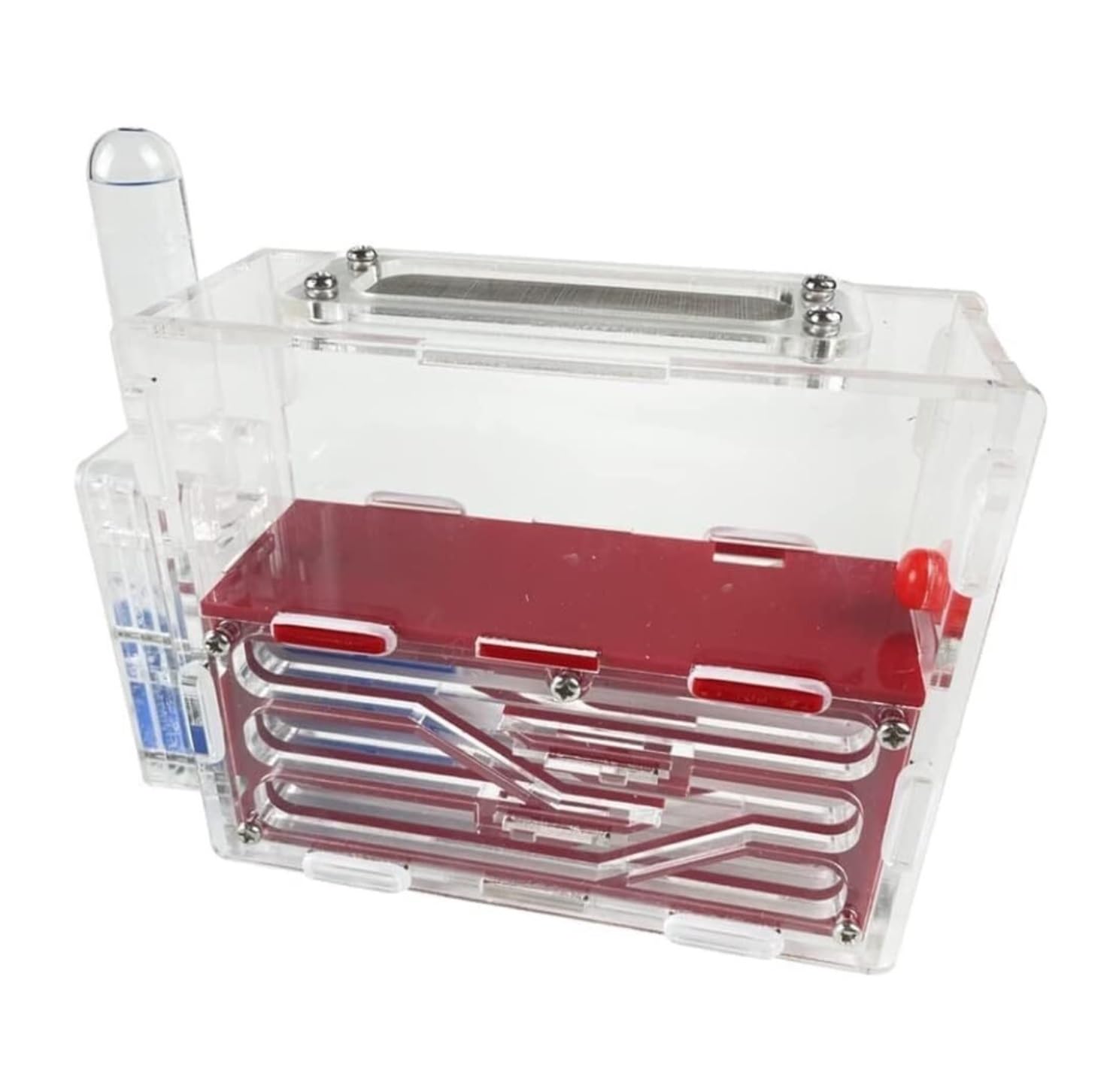 Nido di formicaio Castello in acrilico Osservazione scientifica Fai da te Laboratorio formica Casa(Rosso)