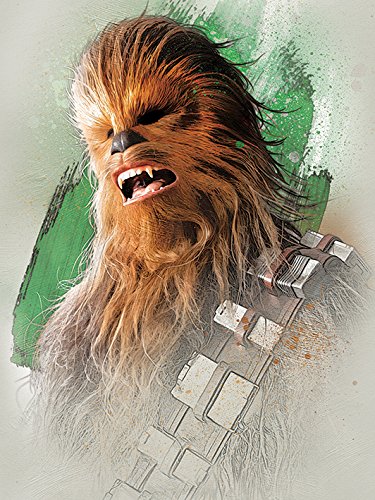 Toile Star Wars imprimée WDC100191 grand format 60x80 cm aux finitions soignées