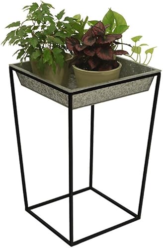 Miniatura 4 de Achla Designs Arne soporte para plantas, 22 pulgadas de alto con bandeja galvanizada poco profunda