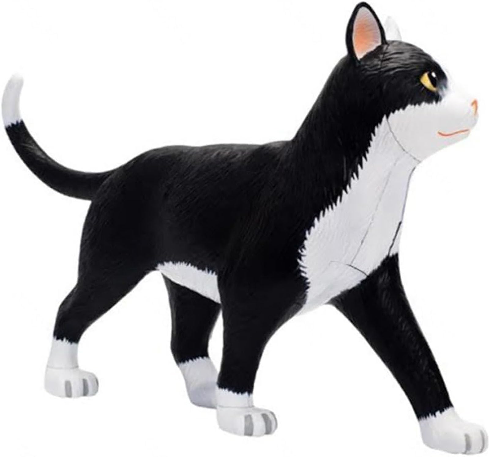 Genérico Modelo de Anatomía de Gato 4D Vision, 28 Partes para la Demostración de Enseñanza Animal, Herramienta de Anatomía de Modelo de Gato, Entrenamiento Veterinario para Demostración