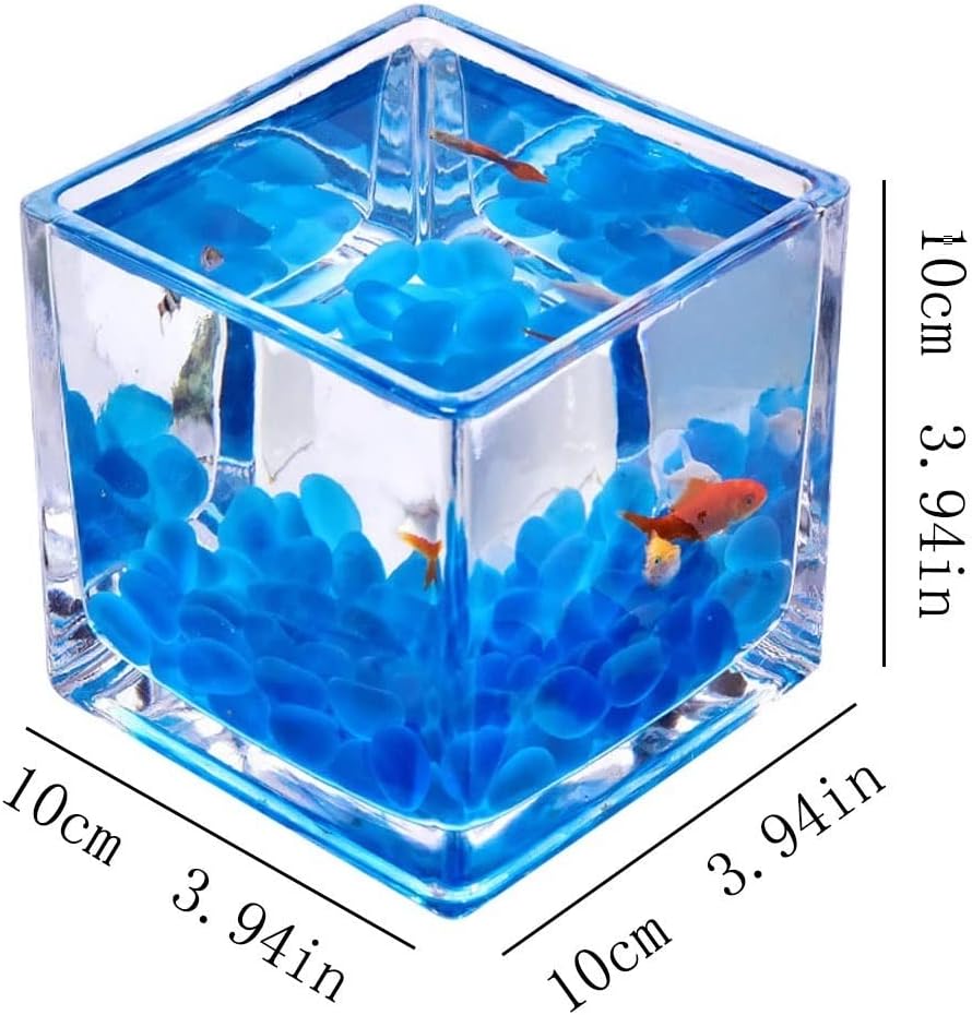 TOOSII Fish Bowl Vase Desktop Square Transparent Glass Small Office Home Fish Tank Creative Decoration Fish Small Fish Tank Water Plant Fish Tank Small Fish Tank Starter Kit (Color : A, Size : 10cm)