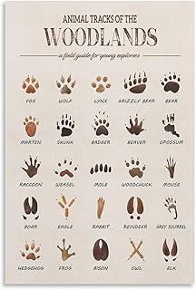 MAIHAIBAO Woodland Animal Tracks Canvas Wall Art - Educational Forest Field Guide Poster - Rustic Nature Nursery & Kids Room Decor - 12x18 Inch (Unframed)