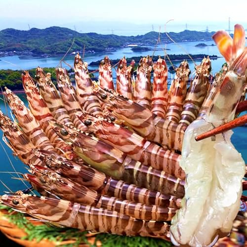 ԊCV y2Lz500gi12`14j܂ F{VY N}Gr ۘa Ԃ  {B꒼ hg s`s`VN