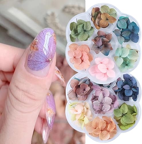 Juego de 2 cajas de flores secas para uñas, flores reales naturales, decoración de uñas, mini pétalos de hojas secas 3D para mujeres, diseño de arte