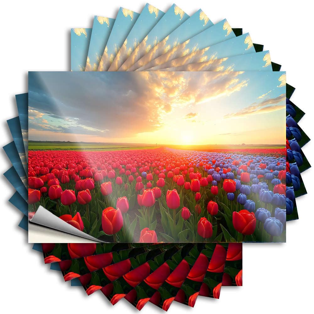 Sunset Over A Field of Tulips. Tumbler Cool - Playroom Decor Funny Sticker Self Adhesive Sticker(8X12CM)