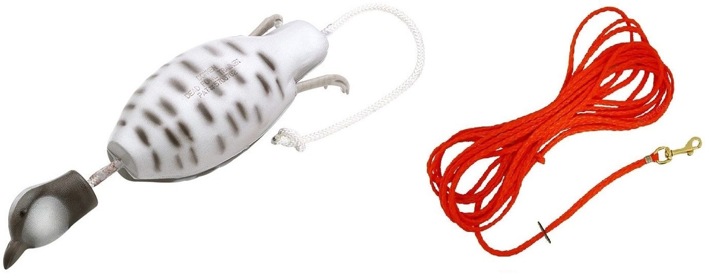 Dokken Bobwhite Quail Dog Training Dummy and Puppy Check 30 2-in-1 Leash Q100/PLX100