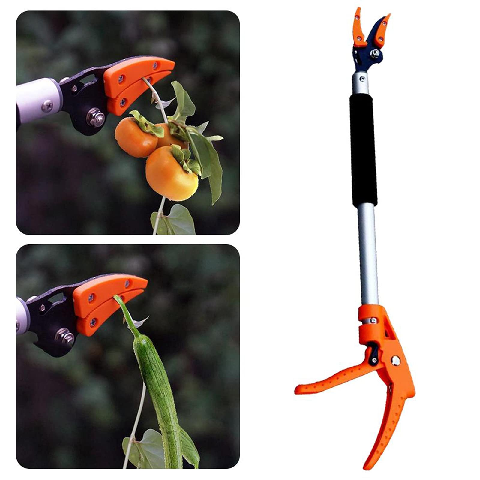 Podadora telescópica de derivación de poda – Recolector de frutas extralargo de 0,6 m y herramienta de corte de jardín para un corte y corte eficientes